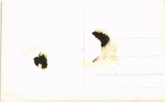 Erdélyi folklór, asszonyok lovas szekéren / Transylvanian folklore, horse-drawn cart. photo (ragaszt...