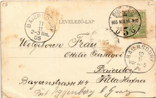 1905 Budapest, Erzsébet híd (EK)