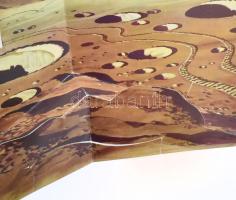 V. Szevasztyjanov: Utazás a világűrbe. Farkas Bertalan (1949- ) magyar űrhajós autográf aláírásával!...