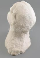 Shey jelzéssel: Női büszt. Faragott márvány, korának megfelelő állapotban, m: 34 cm