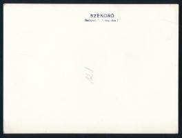 1945 Szendrő István (1908-2000): Budapest, Váci utca ostrom után, pecséttel jelzett fotó, 23×17 cm