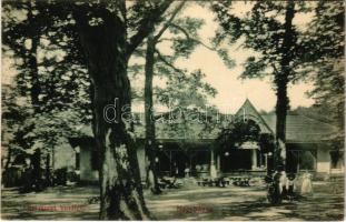 1909 Nagybánya, Baia Mare; Liget részlet és vendéglő. Steinfeld Móritz és fia kiadása / park restaurant (EK)
