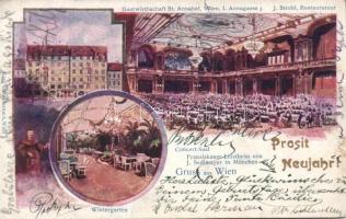 Vienna, Wien; Gastwirtschaft Sankt Annahof / ballroom, New Year´s greeting (EB)