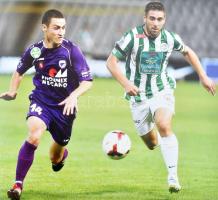 FTC évkönyv 2013 - Erkölcs, erő, egyetértés. Bp., 2013, Hamu és Gyémánt. Rendkívül gazdag képanyagga...