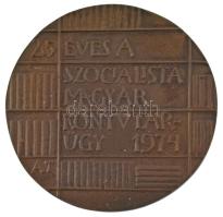 Asszonyi Tamás (1942-) 1974. "25 éves a Szocialista Magyar Könyvtárügy" bronz emlékplakett...