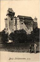 Maria Enzersdorf, Burg Lichtenstein / castle