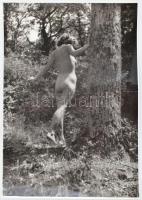 cca 1940 Női akt felvétel az erdőben, fotó, 11,5×8 cm