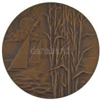 Gáll Gyula (1939-) 1977. 20 éves a Velencei Tavi Intéző Bizottság kétoldalas bronz emlékérem, eredeti foltos dísztokban (70mm) T:AU