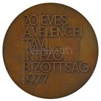 Gáll Gyula (1939-) 1977. "20 éves a Velencei Tavi Intéző Bizottság" kétoldalas bronz emlék...