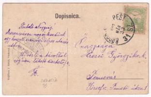 1907 Vinkovce, Vinkovci; utcakép egy kivágott óriás tölgyfa törzsével. J. Reich kiadása / Ogromno hr...
