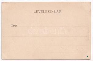 Anina, Stájerlakanina, Steierdorf; vasgyár, iparvasút. Hollschütz kiadása / ironworks, iron factory,...