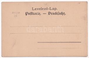 Anina, Stájerlakanina, Steierdorf; vasgyár, kolónia. G. Florianschütz kiadása / ironworks, iron fact...