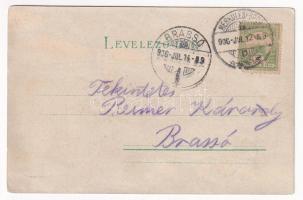 1906 Herkulesfürdő, Herkulesbad, Baile Herculane; Világosság felé tartandó! Alfréd Jäger Meteor No. ...