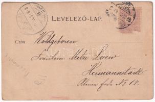 1899 (Vorläufer) Gyulafehérvár, Alba Iulia; Városháza, Jakabffy Albert üzlete, Novák Ferenc tér. Wei...