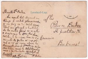 Borszék, Borsec; Remény szálloda, József főherceg kút / spa, hotel, well. Art Nouveau, floral (Rb)