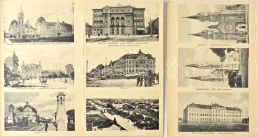 Temesvár, Timisoara; 6-részes kihajtható leporellólap, rajta zsinagóga / 6-tiled folding leporelloca...