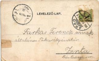 1904 Arad, Andrássy tér / square (r)