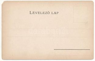 Kolozs vármegye térképe. Kiadja Károlyi Gy. / Map of Cluj county (EM)