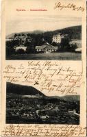 1908 Stájerlak, Steierlak, Stájerlakanina, Steierdorf, Anina; Nyaraló, Anina / Sommerfrische / spa, villa, general view (non PC) (b)