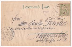 1905 Stájerlak, Steierlak, Stájerlakanina, Steierdorf, Anina; nyaraló. Hollschütz F. kiadása / Somme...