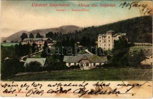 1905 Stájerlak, Steierlak, Stájerlakanina, Steierdorf, Anina; nyaraló. Hollschütz F. kiadása / Sommerfrische / villa, spa (fl)