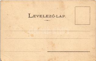 Herkulesfürdő, Baile Herculane; Lívia nyaraló. Divald fénynyomatú műintézetéből. Heliogravure, vagy ...