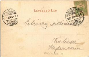 1902 Herkulesfürdő, Herkulesbad, Baile Herculane; látkép. R. Krizsány kiadása / general view, spa (E...