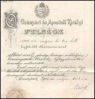 1916 Törvényszéki bíróvá történő kinevezés okmánya Balogh Jenő igazságügyminiszter saját kezű aláírá...