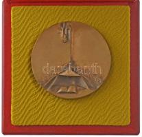 Vígh Tamás (1926-2010) ~1970-1980. "Szabó Ervin-emlékérem / A tudományért - A művelődésért"...