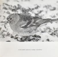 Schmidt Egon. Erdőn mezőn nyitott szemmel. Bp., 1977., Natura. Fekete-fehér fotókkal. Kiadói kartoná...