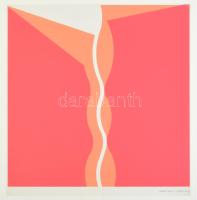 Keserü Ilona (1933-): Hullámvonal. Szitanyomat, papír, jelzett a nyomaton, üvegezett fakeretben, 31x...