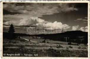 Hargitafürdő, Hargitha-Bai; Tolvajos tető / mountain (fa)