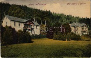 1919 Luhacovice, Lázne Luhacovice, Bad Luhatschowitz; Vila Ruzová a Lippvá / villas, spa (EK)