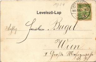 1904 Abrudbánya, Abrud; látkép. Róth Ferenc kiadása / general view (EK)