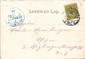 1905 Budapest I. Kilátás a Halászbástyáról, litho (EK)