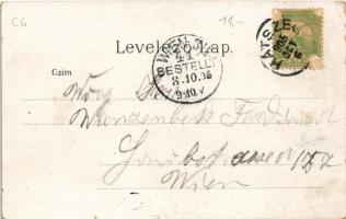 1905 Budapest, látkép a Királyi palotától, Lánchíd. Art Nouveau, litho (kis szakadás / small tear)