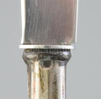 Ezüst (Ag) nyelű gyümölcsös készlet, 6 személyes, sérült dobozban, jelzett, h: 15,5-17 cm