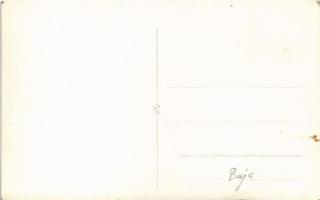 Baja, Sugovica, Kamarás-Duna, Nemzeti szálloda. photo