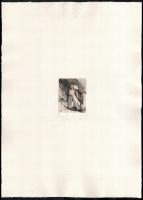 Müller Árpád (1961-2006): Orvos. Rézmetszet, merített papír, jelzett, 71/100 számozással. 7×5,5 cm