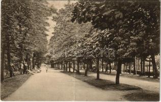 1924 Kovászna, Covasna; Sétatér. Adler / promenade (fa)