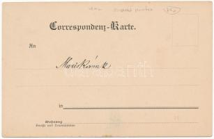 1904 Pola, Pula; Via delle scuole / street, park