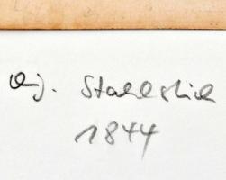 cca XIX. közepe The Princess. Winner of the Oaks. Shakes at Epsom 1844. Acélmetszet, papír, jelzett ...