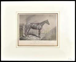 cca XIX. közepe The Princess. Winner of the Oaks. Shakes at Epsom 1844. Acélmetszet, papír, jelzett ...