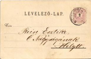 1898 (Vorläufer) Gyulafehérvár, Alba Iulia; Hauptplatz, Bauern aus Hátszeg / Fő tér, piac, Hátszegi ...