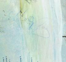 Gemini.
Vinyl, LP, Album, Stereo. Pepita. Magyarország, 1976. jó állapotban, a borító hátoldalán a ...