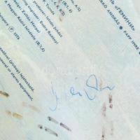 Gemini.
Vinyl, LP, Album, Stereo. Pepita. Magyarország, 1976. jó állapotban, a borító hátoldalán a ...