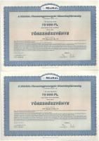 Budapest 2000. "Reanal Finomvegyszergyár Részvénytársaság" névre szóló törzsrészvénye 10.0...