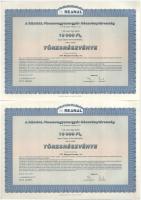 Budapest 2000. "Reanal Finomvegyszergyár Részvénytársaság" névre szóló törzsrészvénye 10.0...
