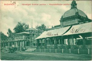 Budapest XIV. Városligeti fővárosi pavilon, lovaskocsi. Szabó Sándor kiadása