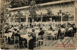 1909 Budapest II. Márth Mihály Hűvösvölgy Gyöngye székesfővárosi nagyréti vendéglő kerthelyisége (apró lyuk / tiny pinhole)